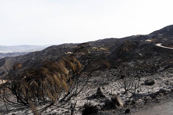 Muere una de las heridas en el incendio forestal de Los Gallardos que estaba ingresada