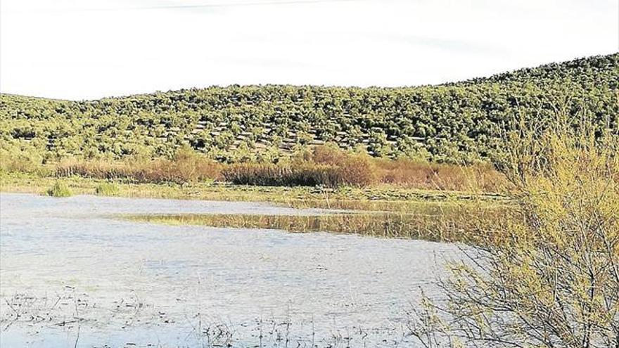 La Junta da nuevos pasos para favorecer la recuperación de la Laguna de Jarata