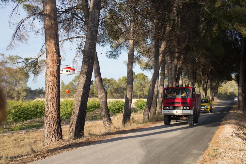 Incendio en la Sierra del Molino