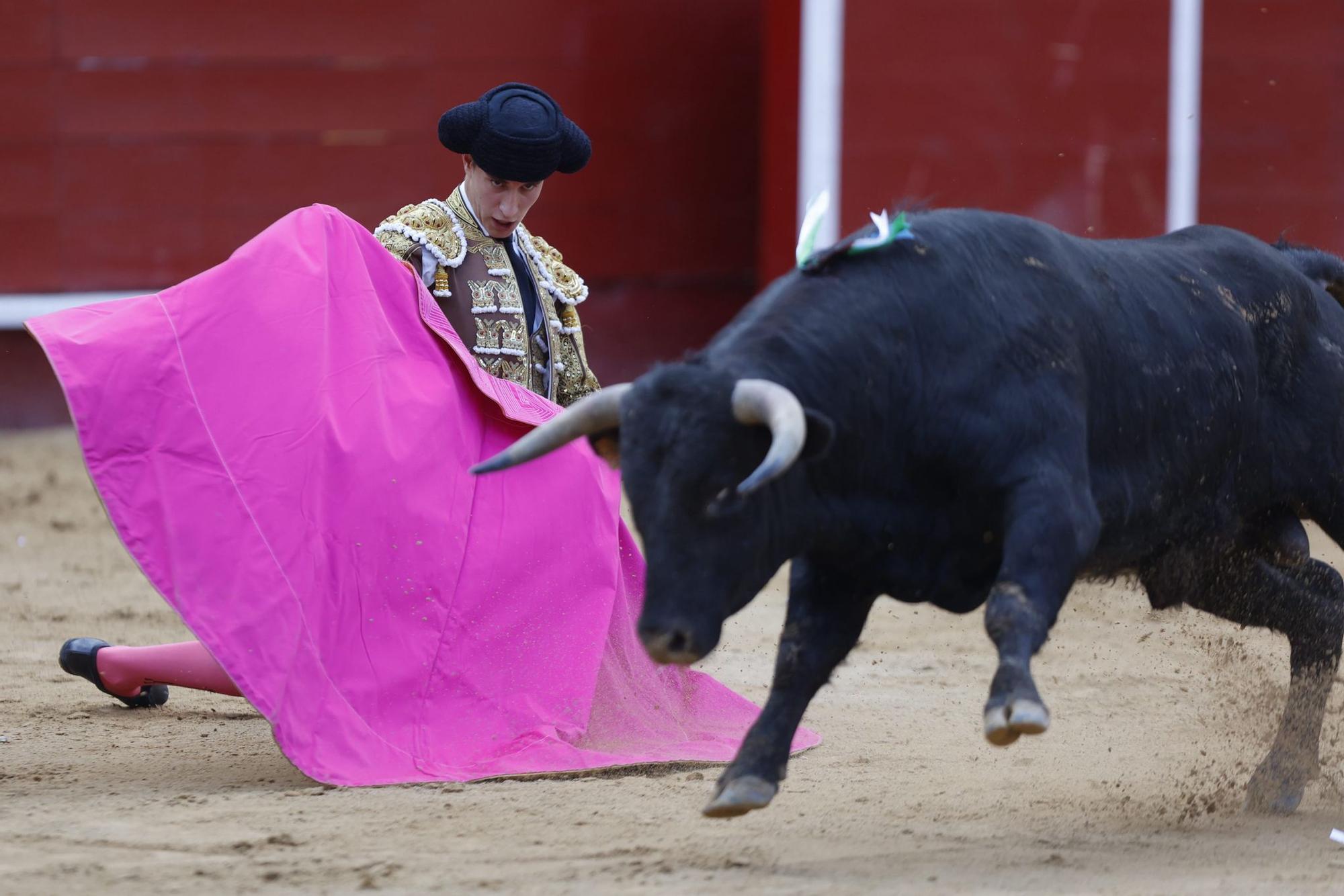 La novillada sin picadores de la Feria de Fallas, en imágenes