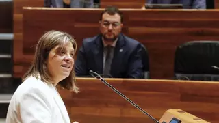 La 'ley Simplifica' continúa su tramitación y el Principado espera tenerla aprobada antes de final de año