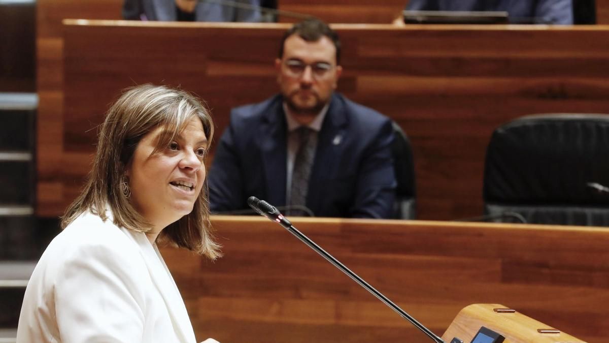 Gimena Llamedo durante la defensa del proyecto de la 'ley Simplifica'