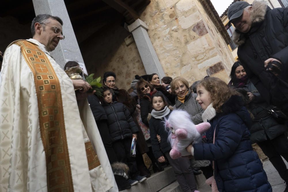 Bendición de animales de San Antón