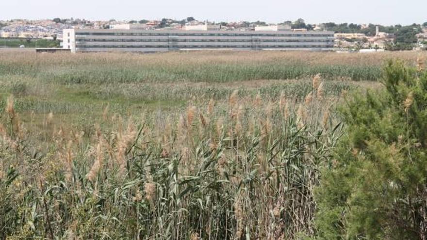 Terrenos en torno al hospital incluidos en el corredor ecológico.