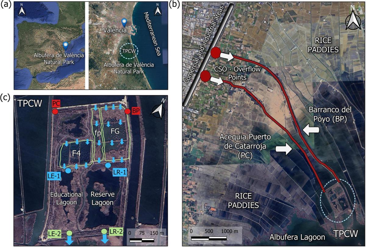 Vista general del área de estudio y la red de monitoreo. Ecological Modelling (2026).