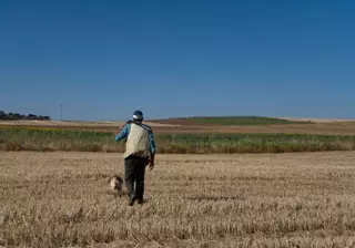 Los cazadores confían en una bajada de temperaturas para salvar la media veda en Zamora