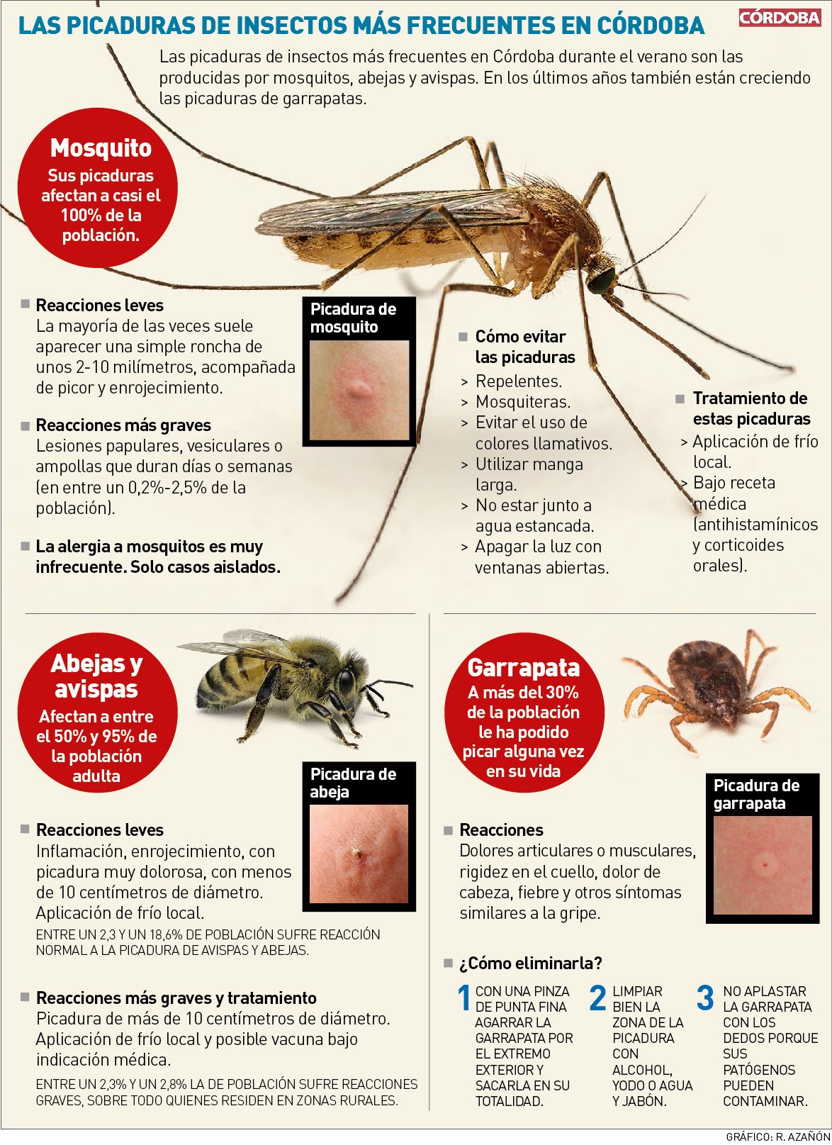 Las picaduras de insectos más frecuentes en Córdoba.