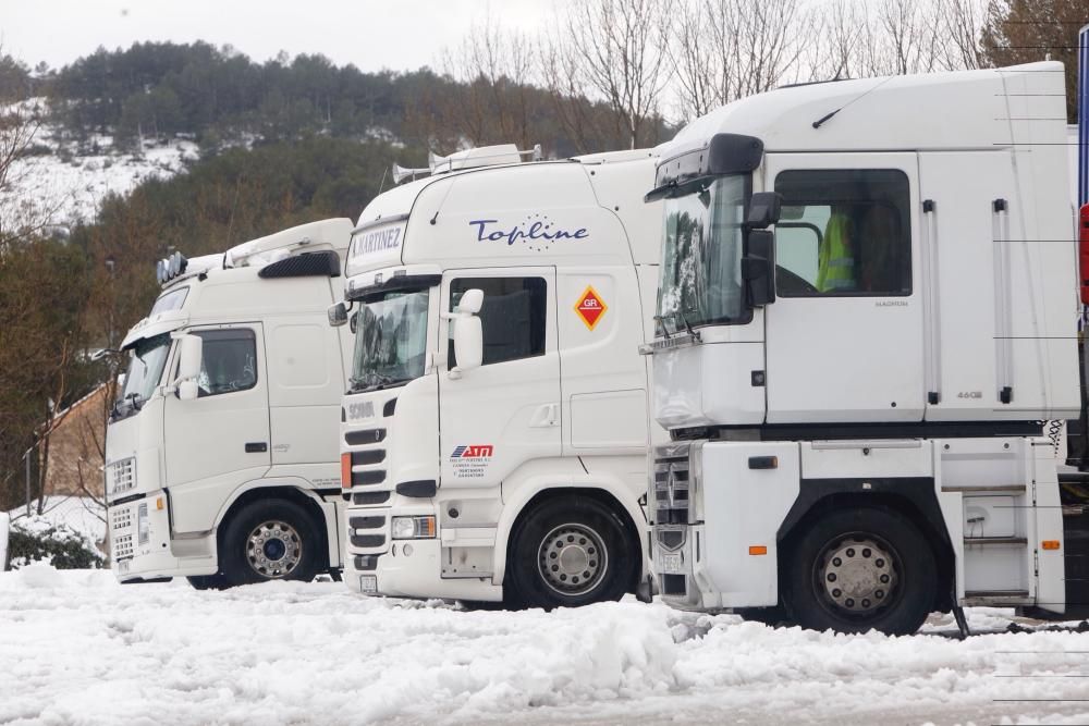 Efectos del temporal de nieve en Requena