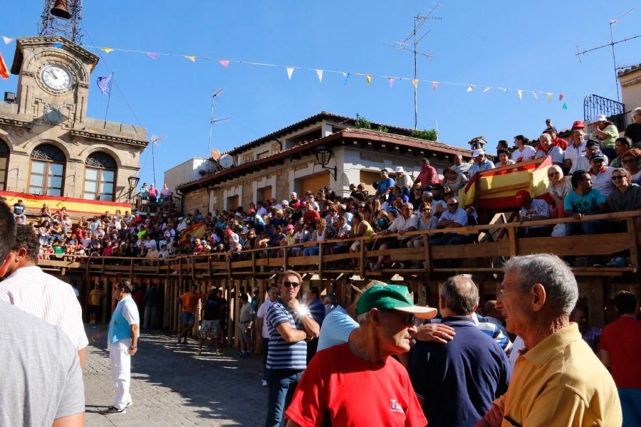 Fiestas en Zamora: Último encierro en Fermoselle