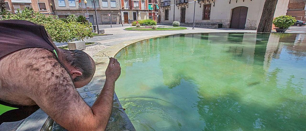 El aire del Sáhara convierte en un horno la Vega Baja y Villena