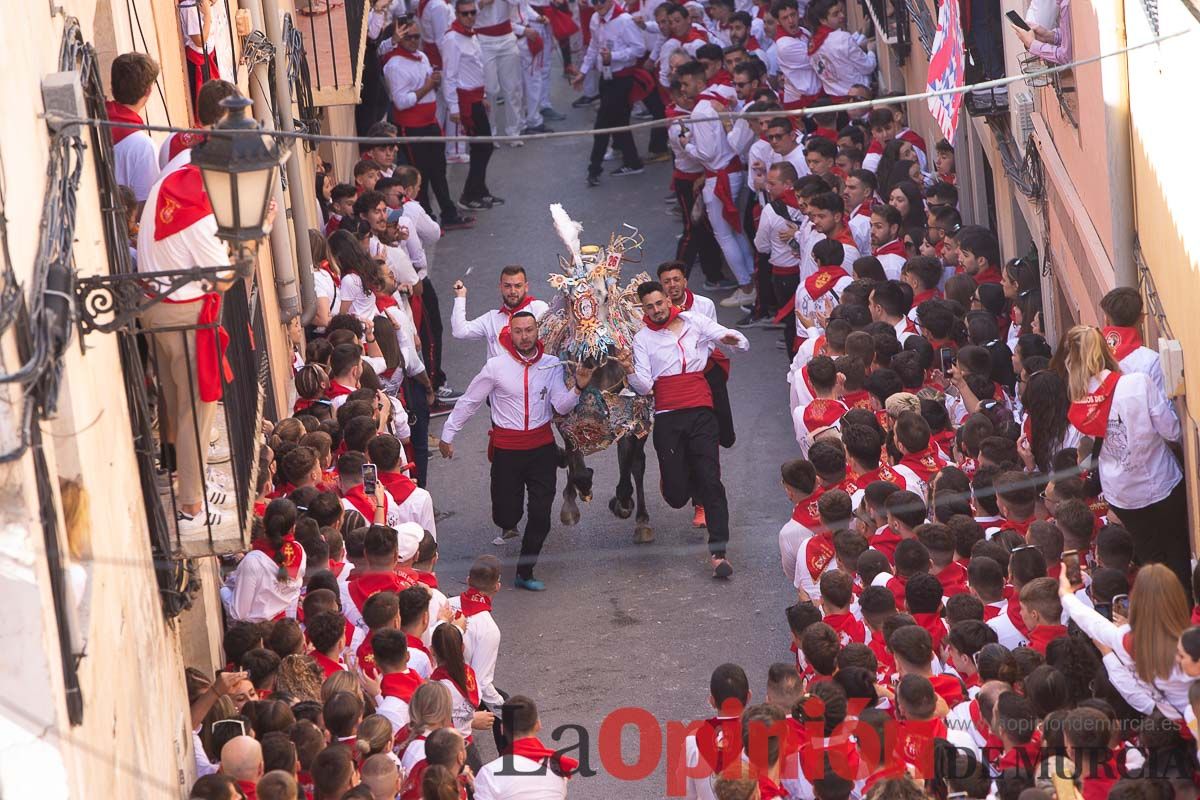 Caballos del Vino en la cuesta de la Simona