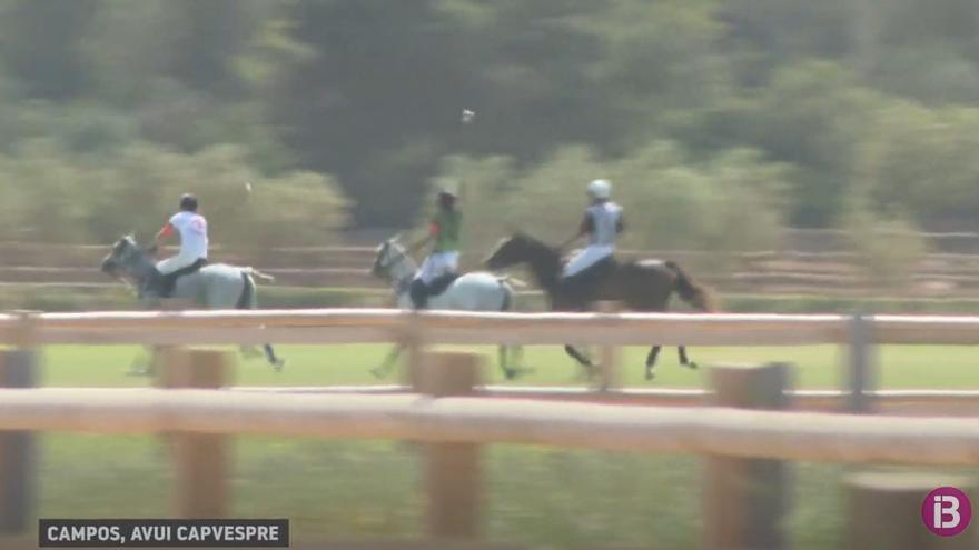 Pferde und Ponys bei einem am Samstag (4.5.) ausgetragenen Polo-Spiel auf der Finca Sa Barralina.