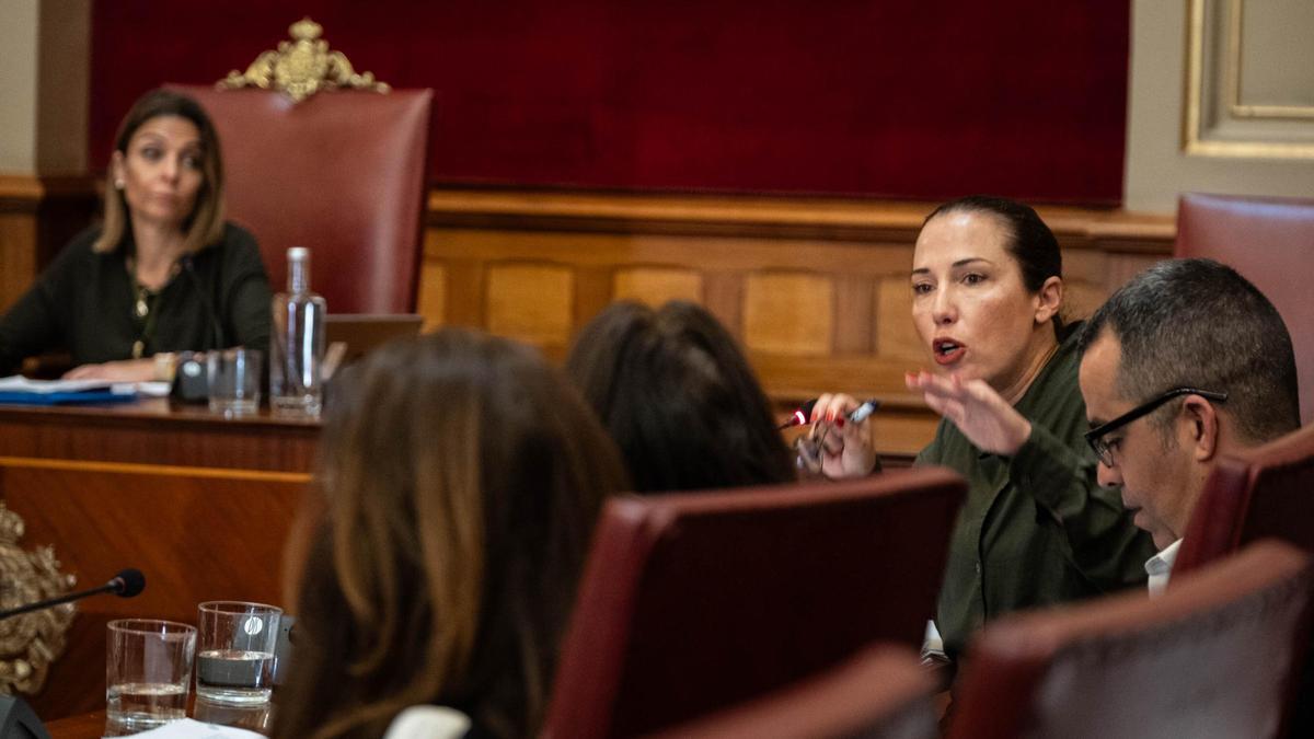 Máxima tensión entre la concejal del Ayuntamiento de Santa Cruz, Alicia Cebrián, y la exalcaldesa, Patricia Hernández