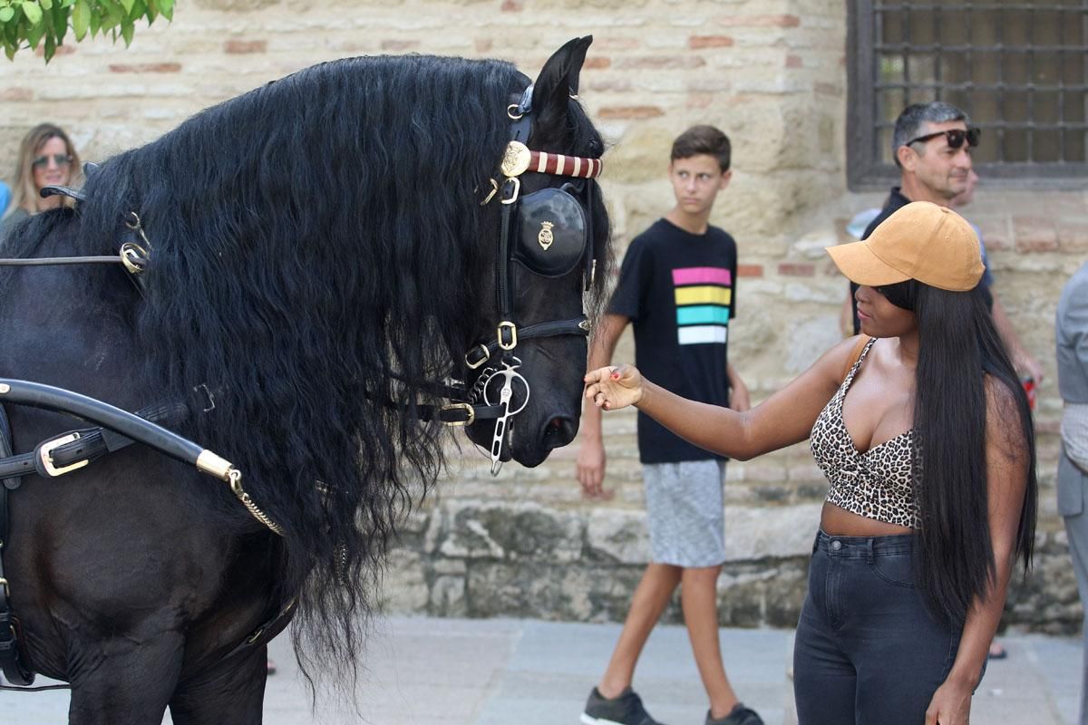 4º Concurso Internacional de Atalaje de Tradición en Cabalcor 2018