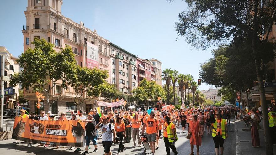 Manifestación en Palma para exigir una gestión "ética y real" de las colonias felinas