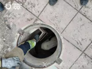 Rescatan a una oveja caída a un pozo en Gea y Truyols