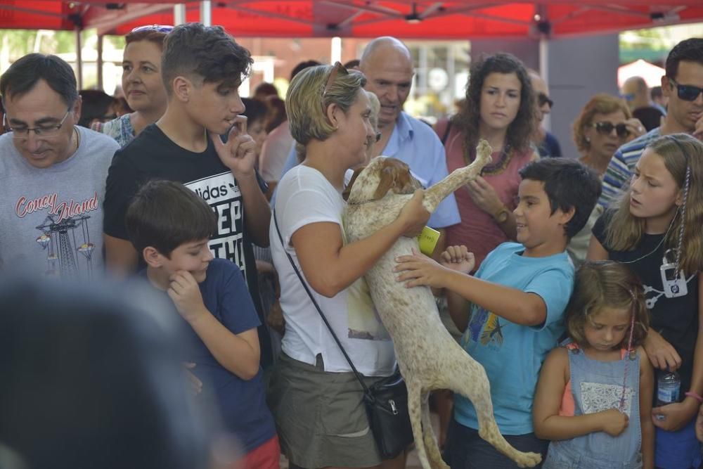 La perrera de Murcia saca sus animales a la calle