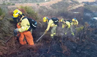 La Junta invierte 16,5 millones en aplicar la IA para alertar en tiempo real del riesgo de incendios