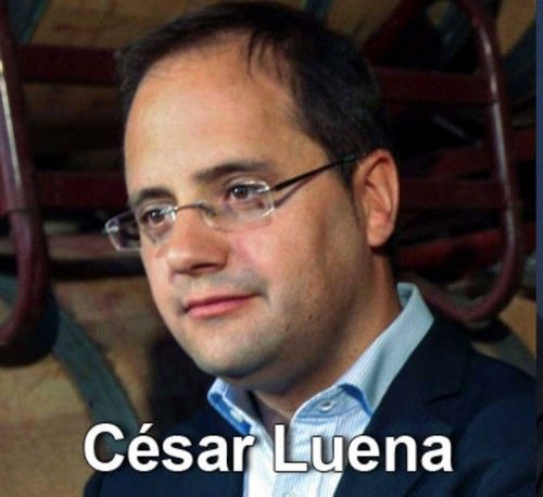 César Luena, secretario de Organización