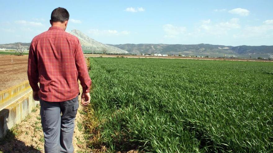 El relevo generacional es uno de los grandes retos a los que se enfrenta el campo.