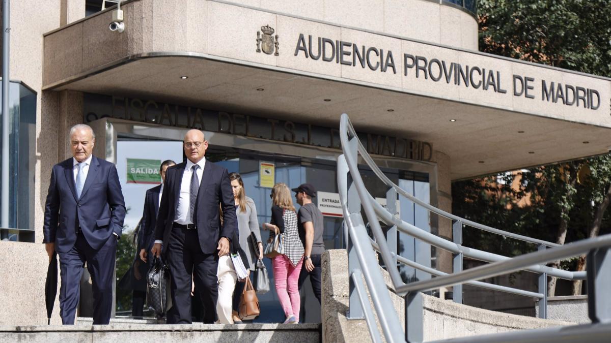 Carlos Iglesias en la Audiencia Provincial de Madrid