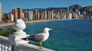 Benidorm es mucho más que playa: 3 rutas de senderismo con vistas al mar que te dejarán sin palabras