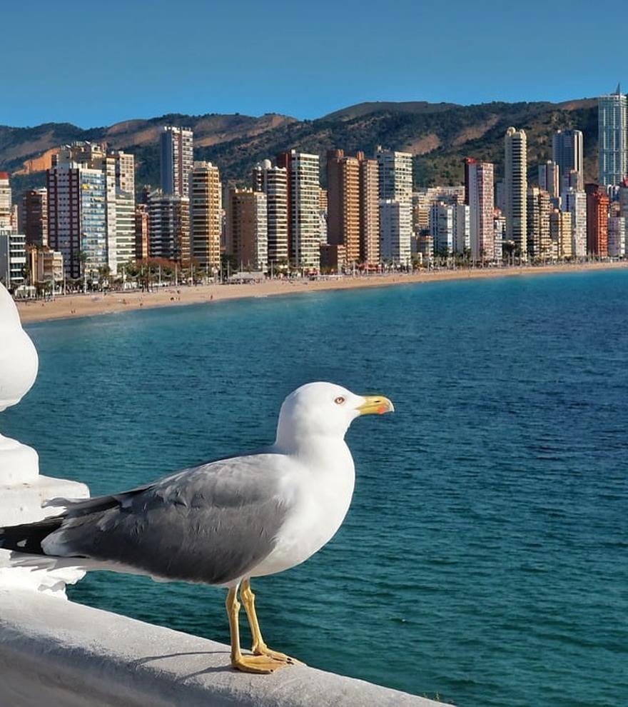 Benidorm es mucho más que playa: 3 rutas de senderismo con vistas al mar que te dejarán sin palabras