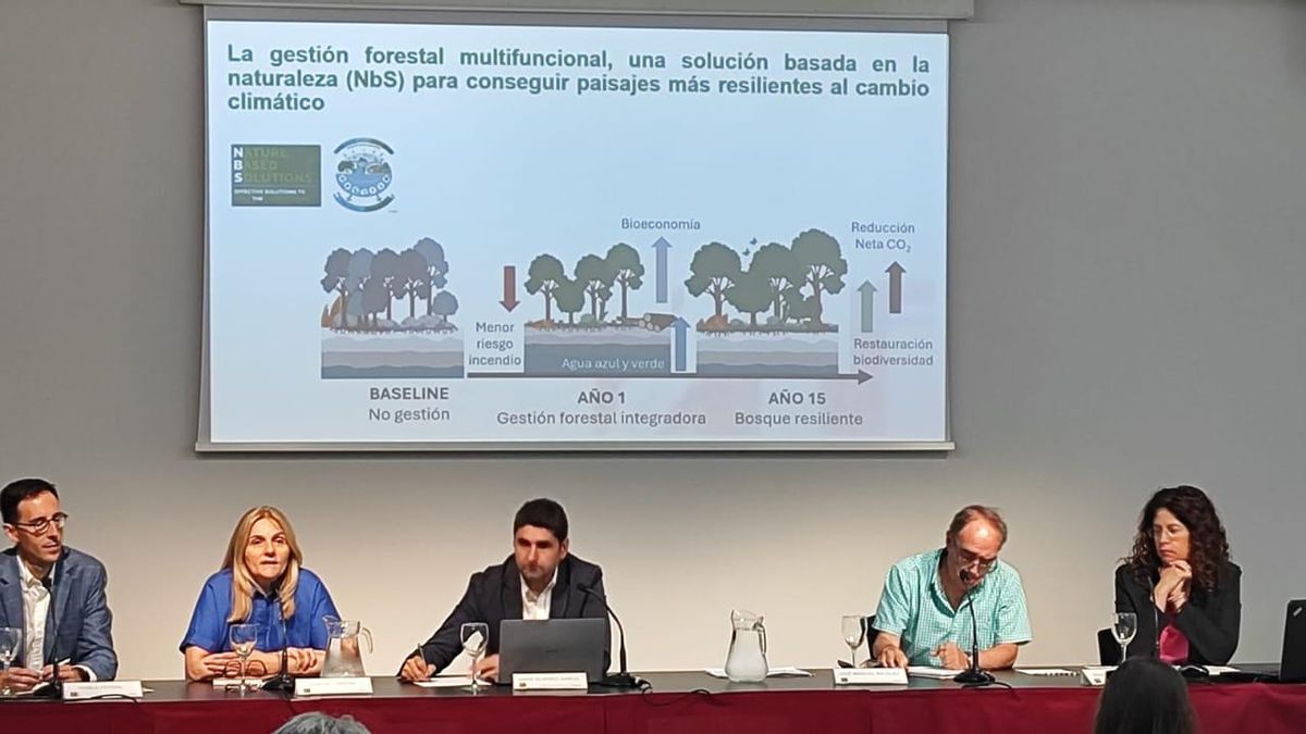 “Oportunidades de la bioeconomía en los territorios de montaña