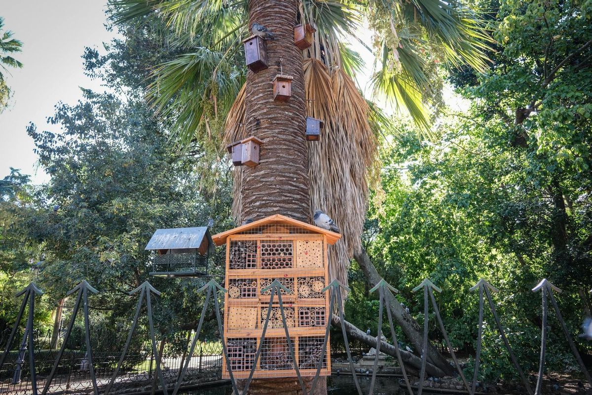 El hotel para insectos y varias casetas para pájaros.