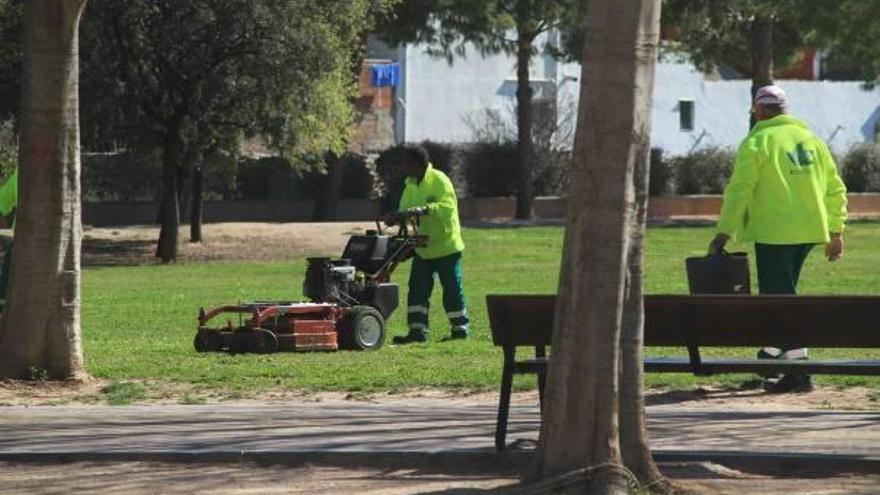 Dos jardineros realizan labores de mantenimiento en un parque de la ciudad de Gandia.