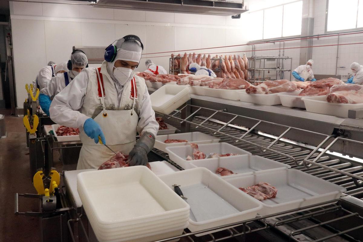 Treballadors a l'interior d'una empresa càrnia de les comarques gironines