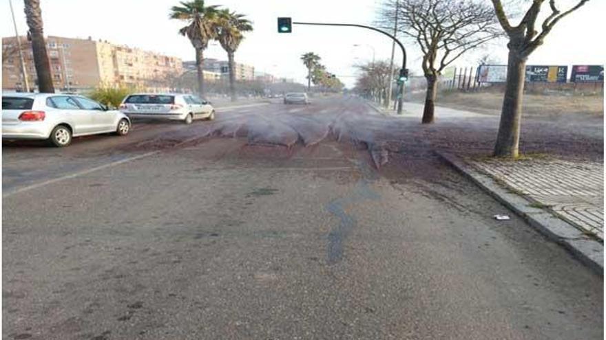 Denunciado en Badajoz el conductor de un camión por el vertido de alperujo de aceite