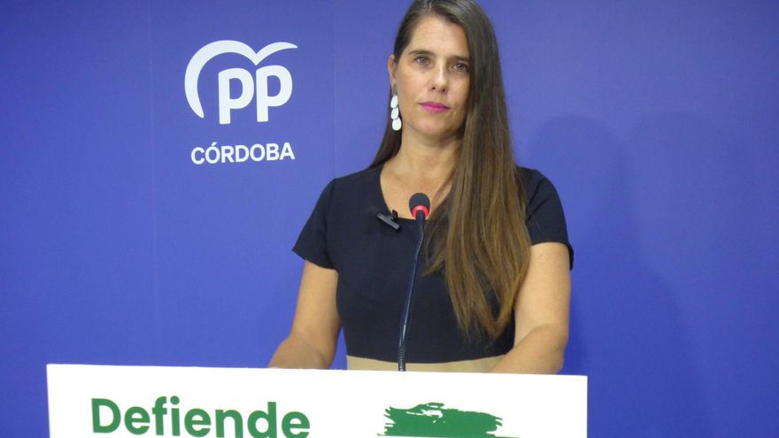 El PP insiste en demandar más potencia eléctrica para la provincia de Córdoba