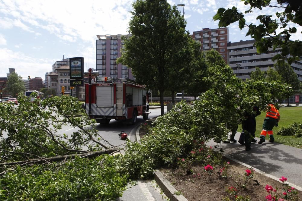 El temporal de viento causa estragos en Gijón