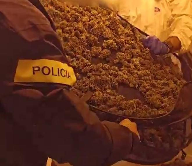 Imagen de la operación contra el tráfico de marihuana