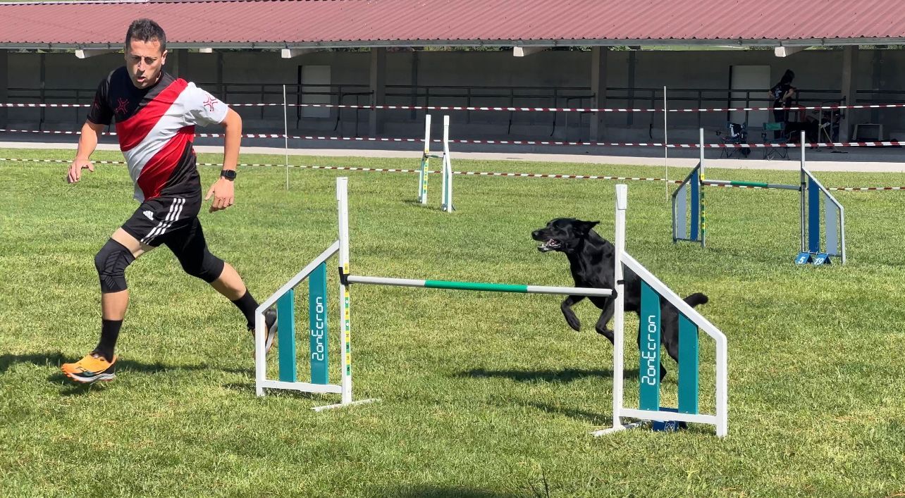 La prueba de la Liga Norte de Agility celebrada en Llanera, en imágenes