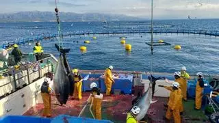 Balfegó invierte 35 millones en unas nuevas instalaciones que le permitirán dar el salto a los platos preparados