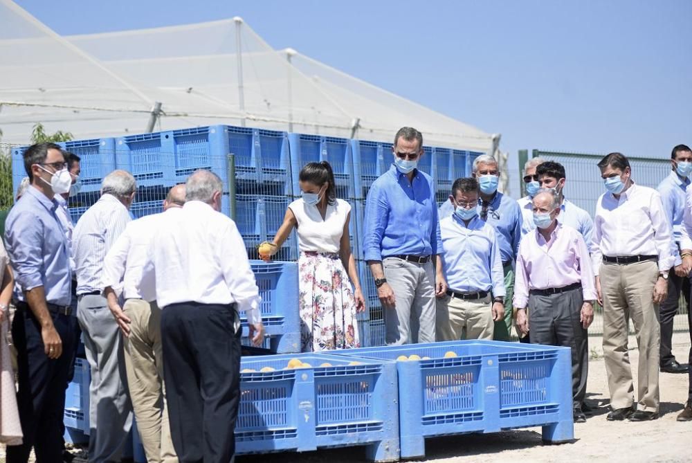 Visita de los reyes a la cooperativa La Carrichosa de Cieza