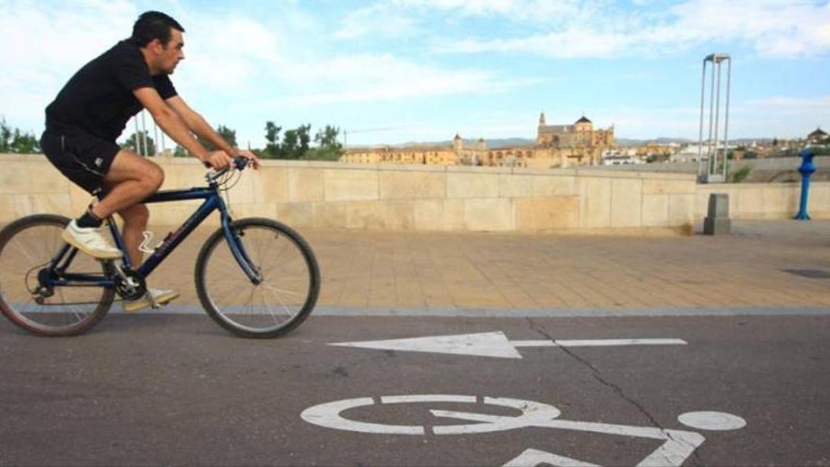 Un ciclista circula por un carril bici de Córdoba capital.