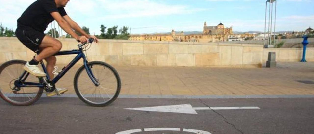 Un ciclista circula por un carril bici de Córdoba capital.