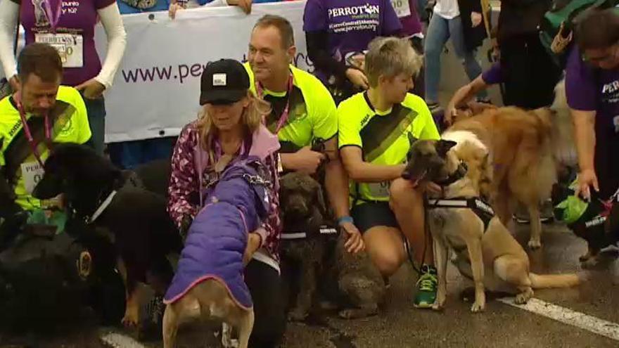 Perros corren junto a sus dueños en la séptima edición del Perrotón