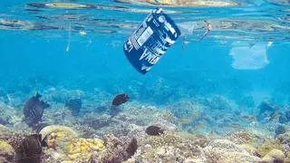 En busca de nuevos plásticos que no acaben en el fondo del mar