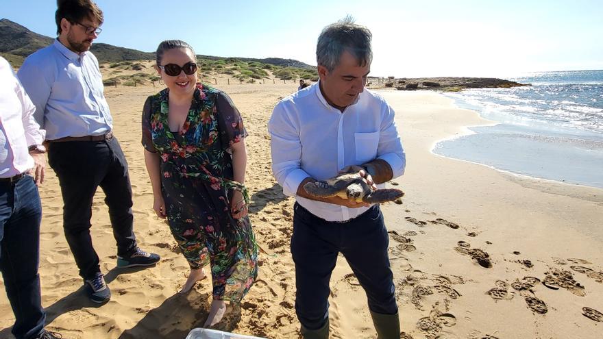 Liberan una tortuga boba en las playas de Calblanque