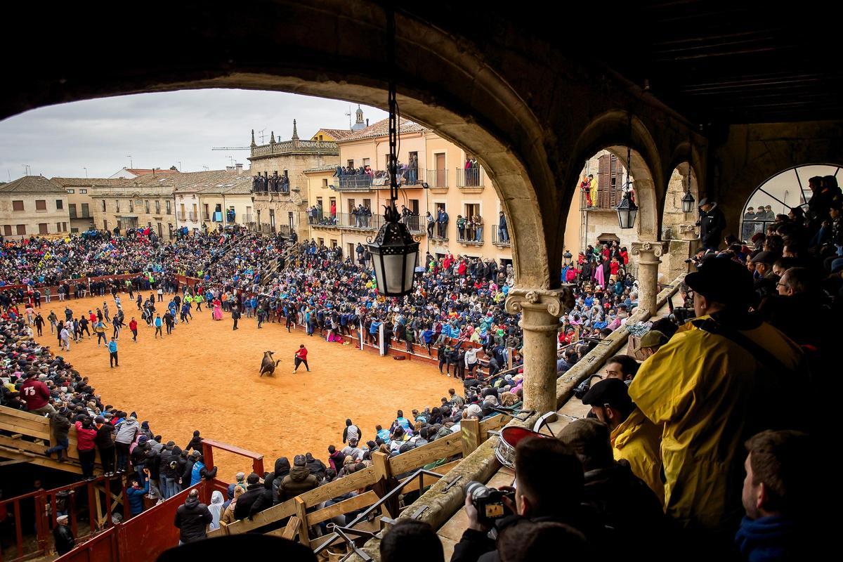 Carnaval del Toro en Ciudad Rodrigo (Salamanca)