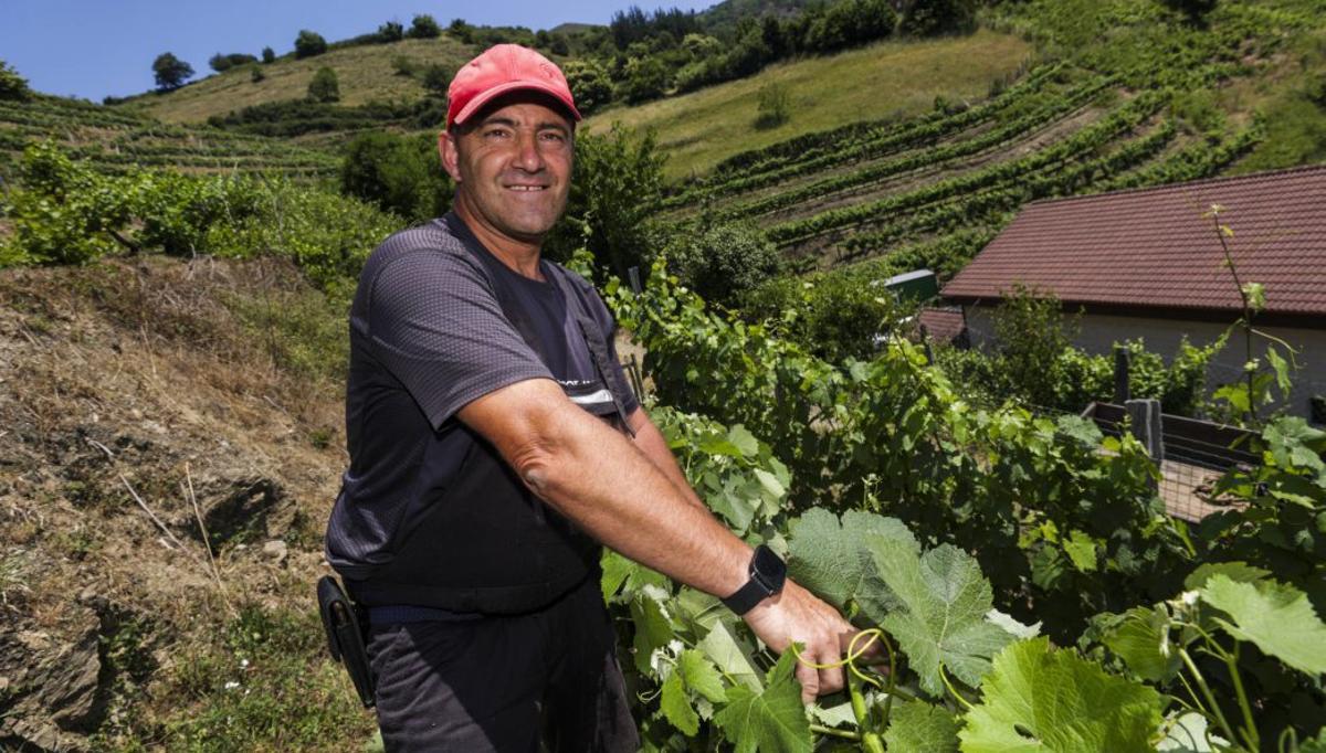 El vino vuelve a una bodega histórica con un desafío pendiente