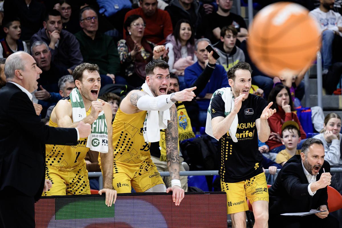 Jugadores y técnicos del CB Canarias celebran una canasta en el Palau.