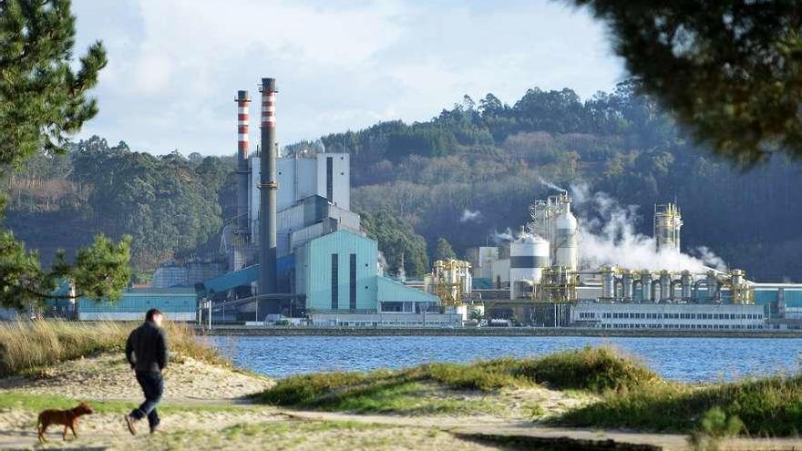 Fábrica de Ence en Pontevedra en Lourizán. // Gustavo Santos