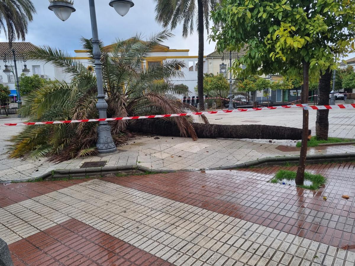 Aviso naranja en Córdoba