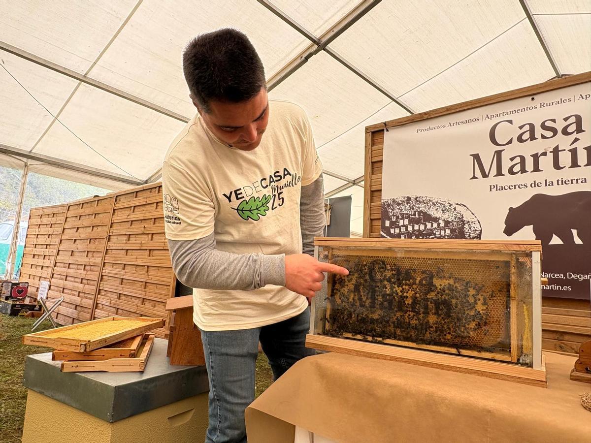 El apicultor Óscar Martín muestra un ejambre de abejas.