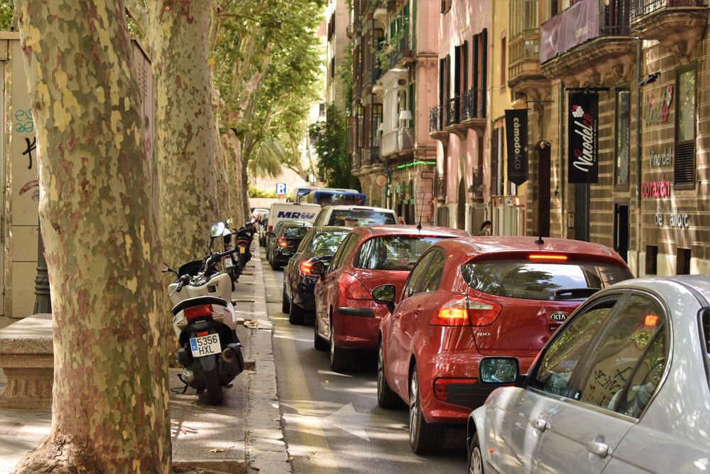 Operación Nube en Palma